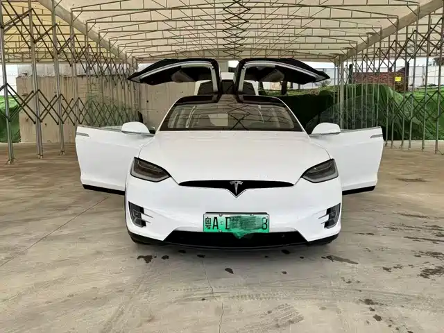 Tesla Model X Model X 2017 Model X 100d Long Range Edition — фото