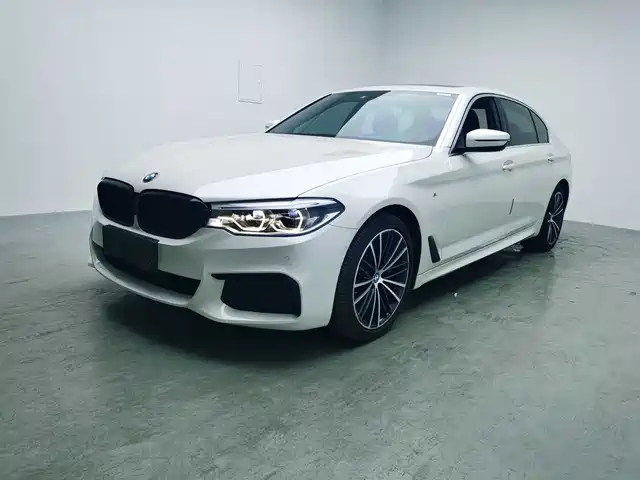 Bmw Bmw 5 Series Bmw 5 Series 2020 530li Leading M Sports Package — фото
