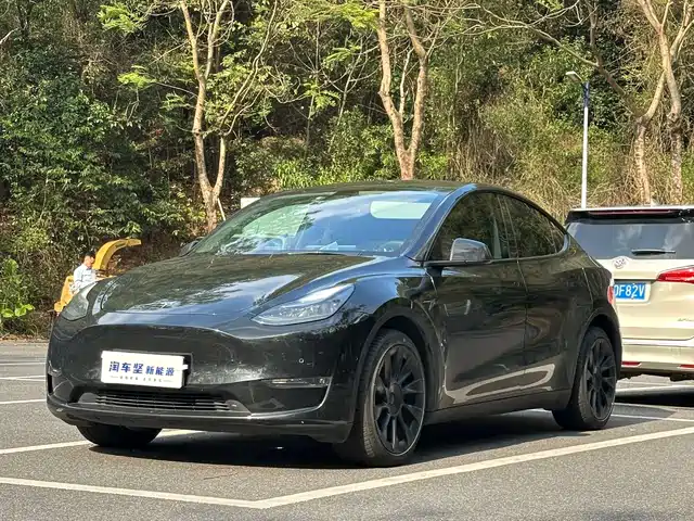 Tesla Model Y Model Y 2022 Long-Range All-Wheel Drive Version — фото