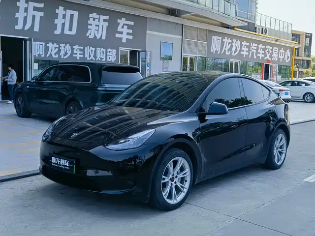 Tesla Model Y Model Y 2022 Facelift Rear-Wheel Drive Version — фото