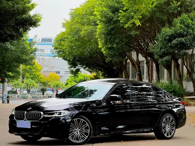 Bmw Bmw 5 Series Bmw 5 Series 2019 530li Exclusive M Sports Package — фото