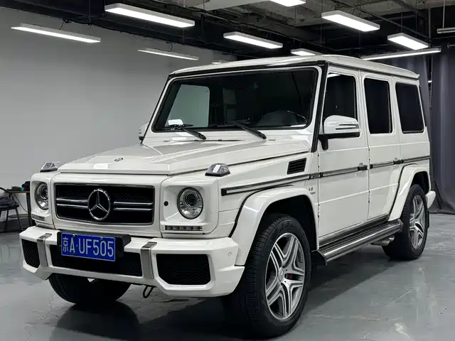 Mercedes-Benz Mercedes-Benz G-Class Amg Mercedes-Benz G-Class Amg 2013 Amg G 63