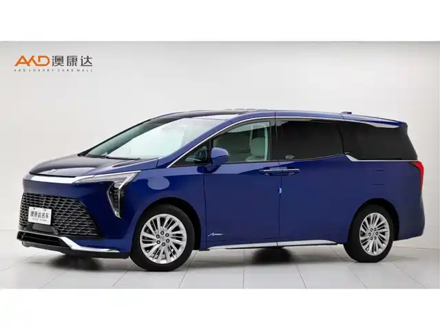 Buick Century Century 2023 2.0t Six-Seater Yuanshi Edition — фото