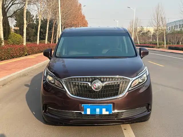Buick Buick Gl8 Buick Gl8 2017 Es 28t Comfort Type National V — фото