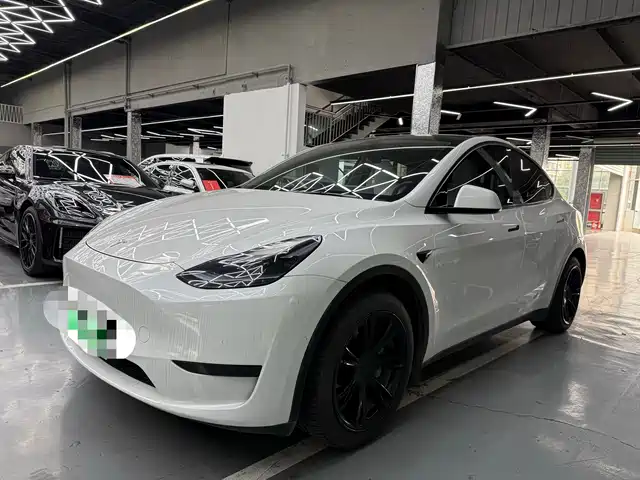Tesla Model Y Model Y 2022 Facelift Rear-Wheel Drive Version — фото
