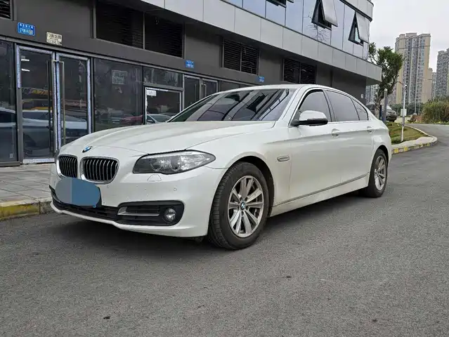 Bmw Bmw 5 Series Bmw 5 Series 2014 520li Elegant — фото
