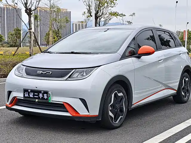 Byd Dolphin Dolphin 2021 405km Free Edition — фото