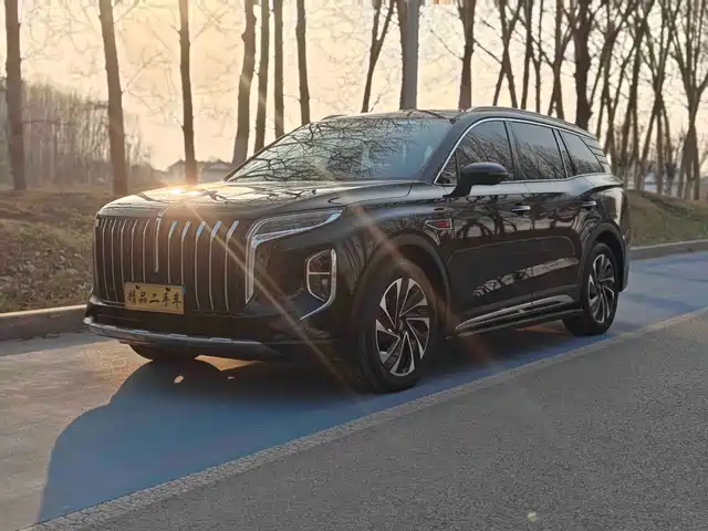 Red Flag Hongqi Hs7 Phev Hongqi Hs7 Phev 2024 2.0t Phev Four-Wheel Drive Qichang Version 7 Seats — фото