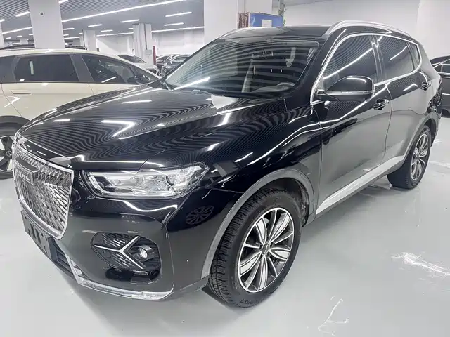 Harvard Haval H6 Haval H6 2021 1.5gdit Automatic Champion Edition — фото