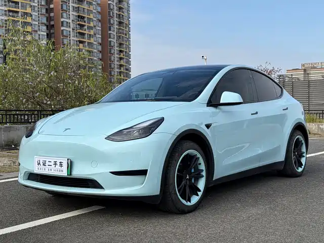 Tesla Model Y Model Y 2022 Facelift Rear-Wheel Drive Version