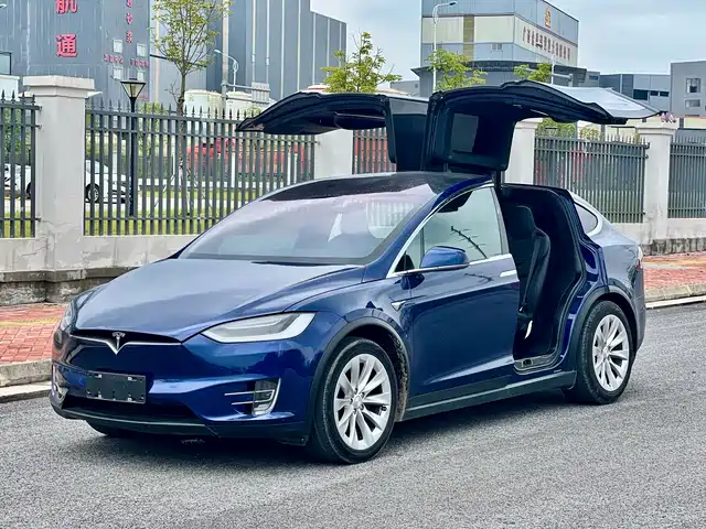 Tesla Model X Model X 2017 Model X 100d Long Range Edition — фото