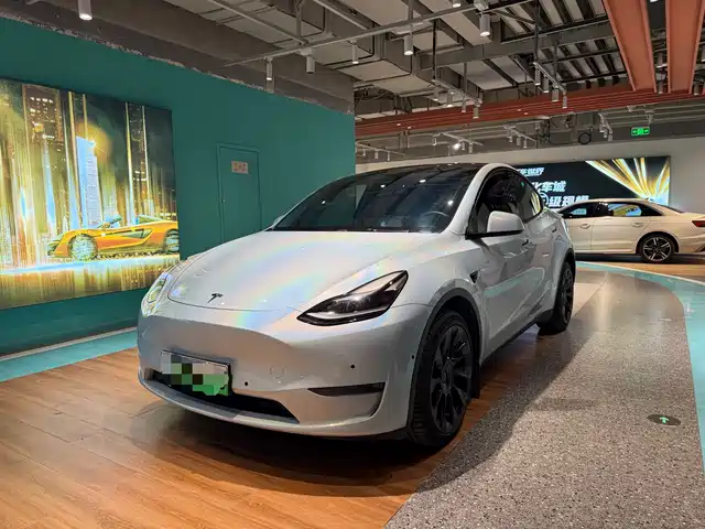Tesla Model Y Model Y 2022 Long-Range All-Wheel Drive Version — фото