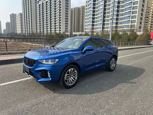 Wei Brand Wei Brand Vv5 Wei Brand Vv5 2017 2.0t Super Luxury Model — фото