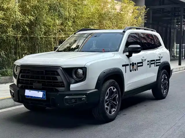 Harvard Harvard Dog Havaldog 2024 2.0t Dct Chinese Pastoral Dog Edition