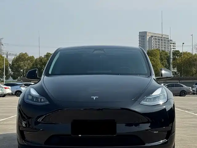 Tesla Model Y Model Y 2022 Facelift Rear-Wheel Drive Version — фото