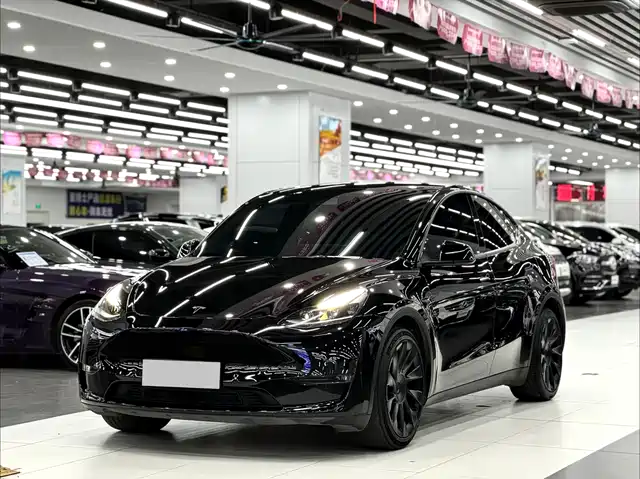 Tesla Model Y Model Y 2021 Standard Range Rear-Wheel Drive Version — фото