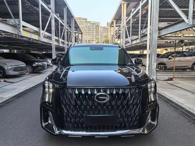 Gac Trumpchi Trumpchi Gs8 Trumpchi Gs8 2022 Dual Engine Series 2.0tm Four-Wheel Drive Premium Edition (Seven Seats) — фото