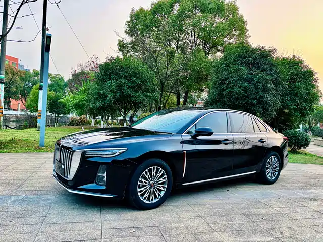 Red Flag Hongqi H5 Hongqi H5 2024 2.0t Automatic Zhilianqichang Edition — фото