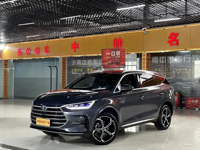 Byd Tang New Energy Tangxin Energy 2021 Dm-I 112km Premium Model — фото