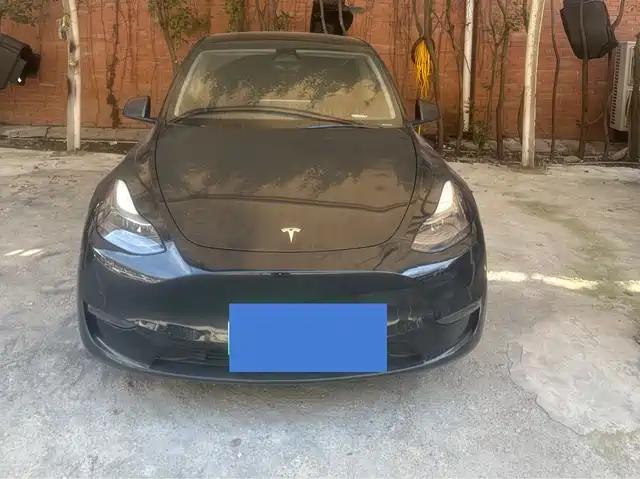 Tesla Model Y Model Y 2021 Standard Range Rear-Wheel Drive Version — фото