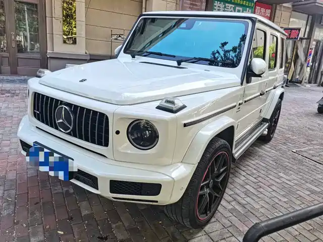 Mercedes-Benz Mercedes Benz G Class Mercedes-Benz G-Class 2020 G 350 — фото