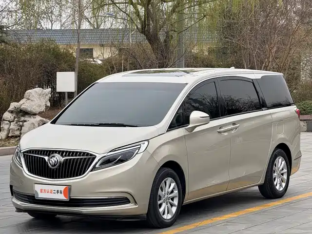 Buick Buick Gl8 Buick Gl8 2017 Es 28t Exclusive Type National V