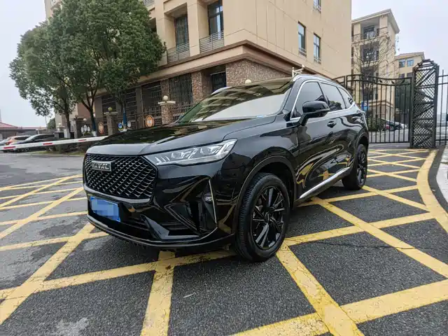 Harvard Haval H6 Haval H6 2021 Third Generation 2.0t Automatic Two-Wheel Drive Max — фото