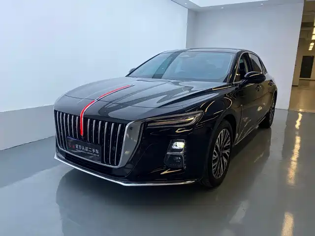 Red Flag Hongqi H5 Hongqi H5 2024 2.0t Automatic Zhilianqichang Edition — фото