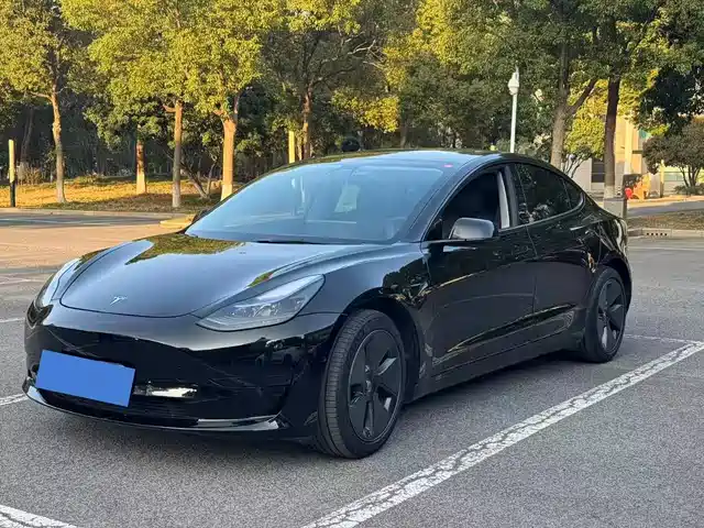 Tesla Model 3 Model 3 2021 Facelift Standard Range Rear Drive Upgraded Version 3d1 — фото
