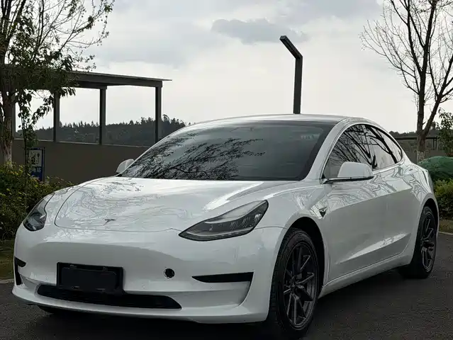 Tesla Model 3 Model 3 2020 Standard Range Rear Drive Upgraded Version — фото