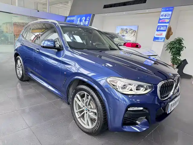 Bmw Bmw X3 Bmw X3 2018 Xdrive30i Leading M Sports Package National V — фото