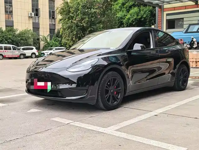 Tesla Model Y Model Y 2022 Facelift Rear-Wheel Drive Version — фото