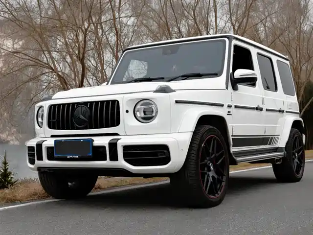 Mercedes-Benz Mercedes Benz G Class Mercedes-Benz G-Class 2019 G 500