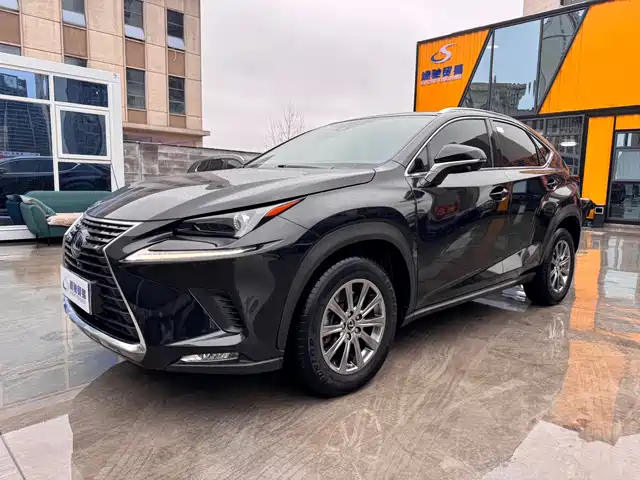 Lexus Lexus Nx Lexus Nx 2020 200 Awd Fengshang Edition National Vi — фото
