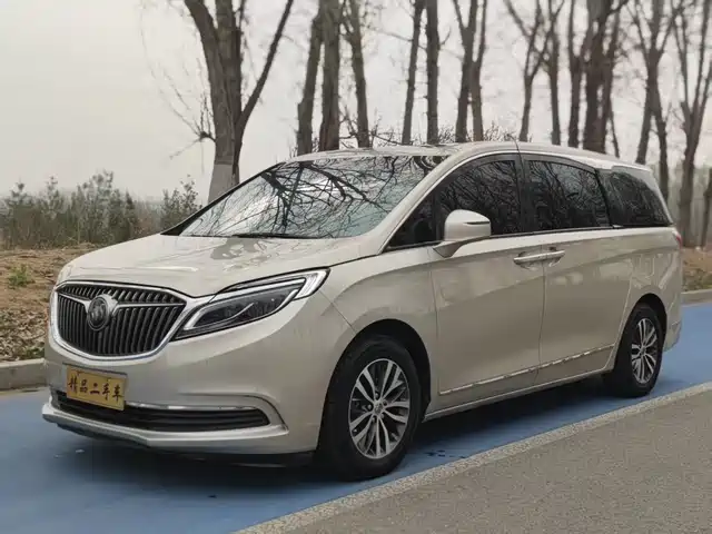 Buick Buick Gl8 Buick Gl8 2017 Es 28t Flagship Model National V — фото