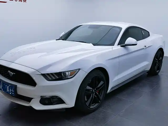 Ford Mustang Mustang 2015 2.3t Performance Edition