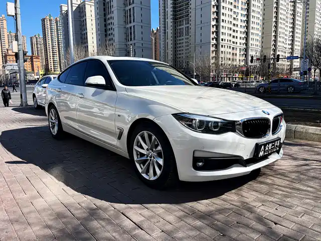 Bmw Bmw 3 Series Gt Bmw 3 Series Gt 2018 320i Fashion Model — фото