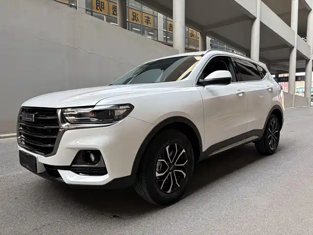 Harvard Haval H6 Haval H6 2021 1.5t Automatic Urban Edition — фото