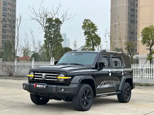 Tank Tank 300 Tank 300 2023 City Edition 2.0t Very Stylish — фото