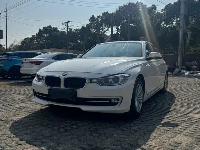 Bmw Bmw 3 Series Bmw 3 Series 2016 316i Fashion Model — фото