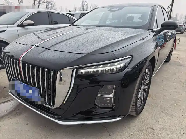 Red Flag Hongqi H5 Hongqi H5 2025 2.0t Automatic Qichang 500,000 Units Commemorative Edition — фото