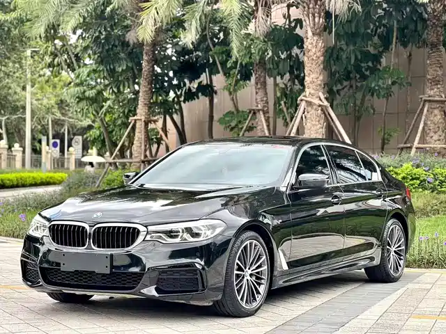 Bmw Bmw 5 Series Bmw 5 Series 2020 530li Leading M Sports Package — фото