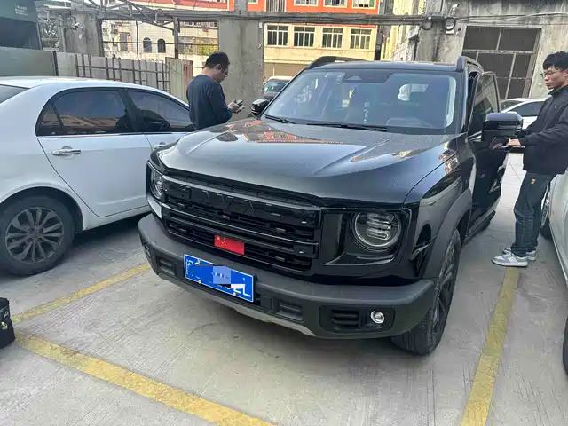 Harvard Harvard Dog Haval Big Dog 2024 1.5t Dct Border Collie Edition