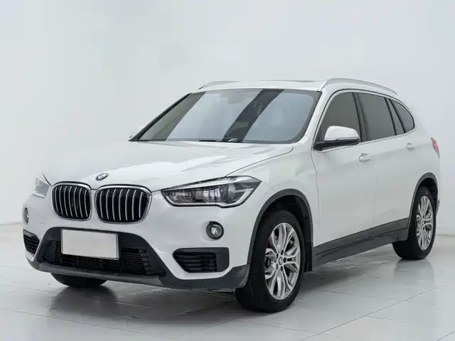 Bmw Bmw X1 Bmw X1 2019 Sdrive20li Leading Model — фото