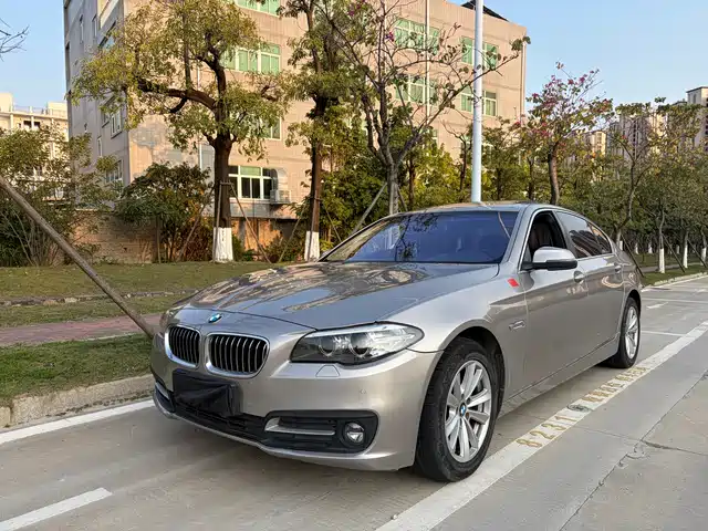 Bmw Bmw 5 Series Bmw 5 Series 2017 520li Elegant — фото