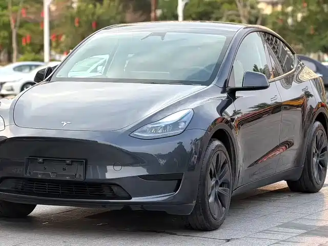 Tesla Model Y Model Y 2024 Rear-Wheel Drive Version