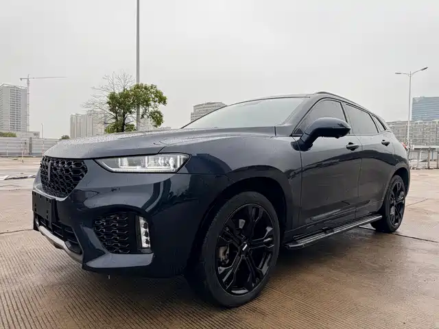 Wei Brand Wei Brand Vv7 Wei Brand Vv7 2019 Upgraded Model 2.0t Flagship Model National V — фото