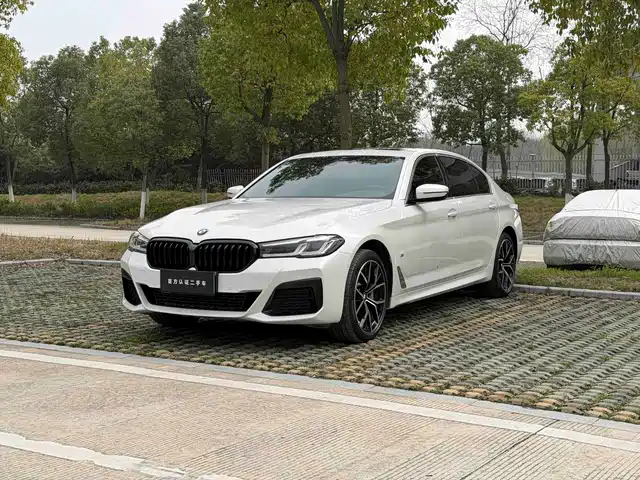 Bmw Bmw 5 Series Bmw 5 Series 2021 530li Leading M Sports Package — фото