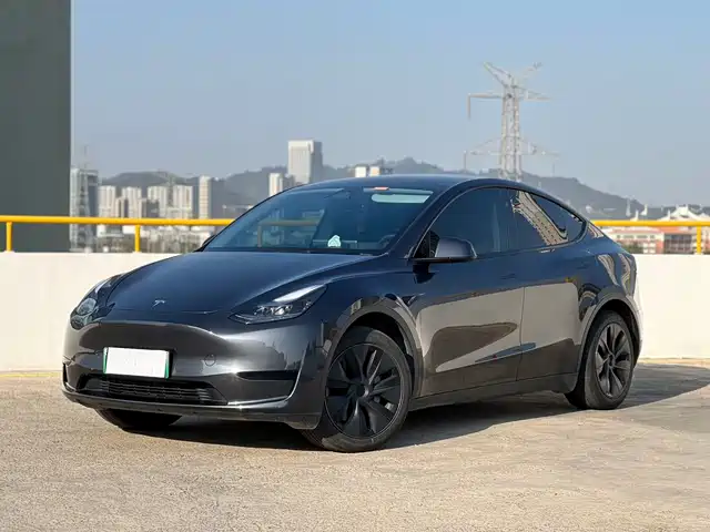 Tesla Model Y Model Y 2024 Rear-Wheel Drive Version — фото