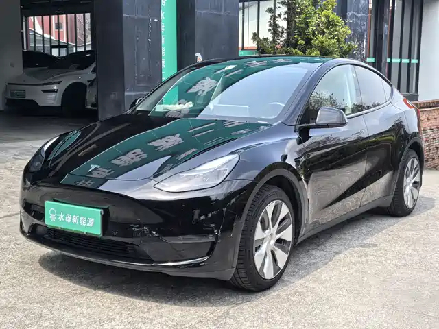 Tesla Model Y Model Y 2022 Facelift, Long-Range All-Wheel Drive Version — фото